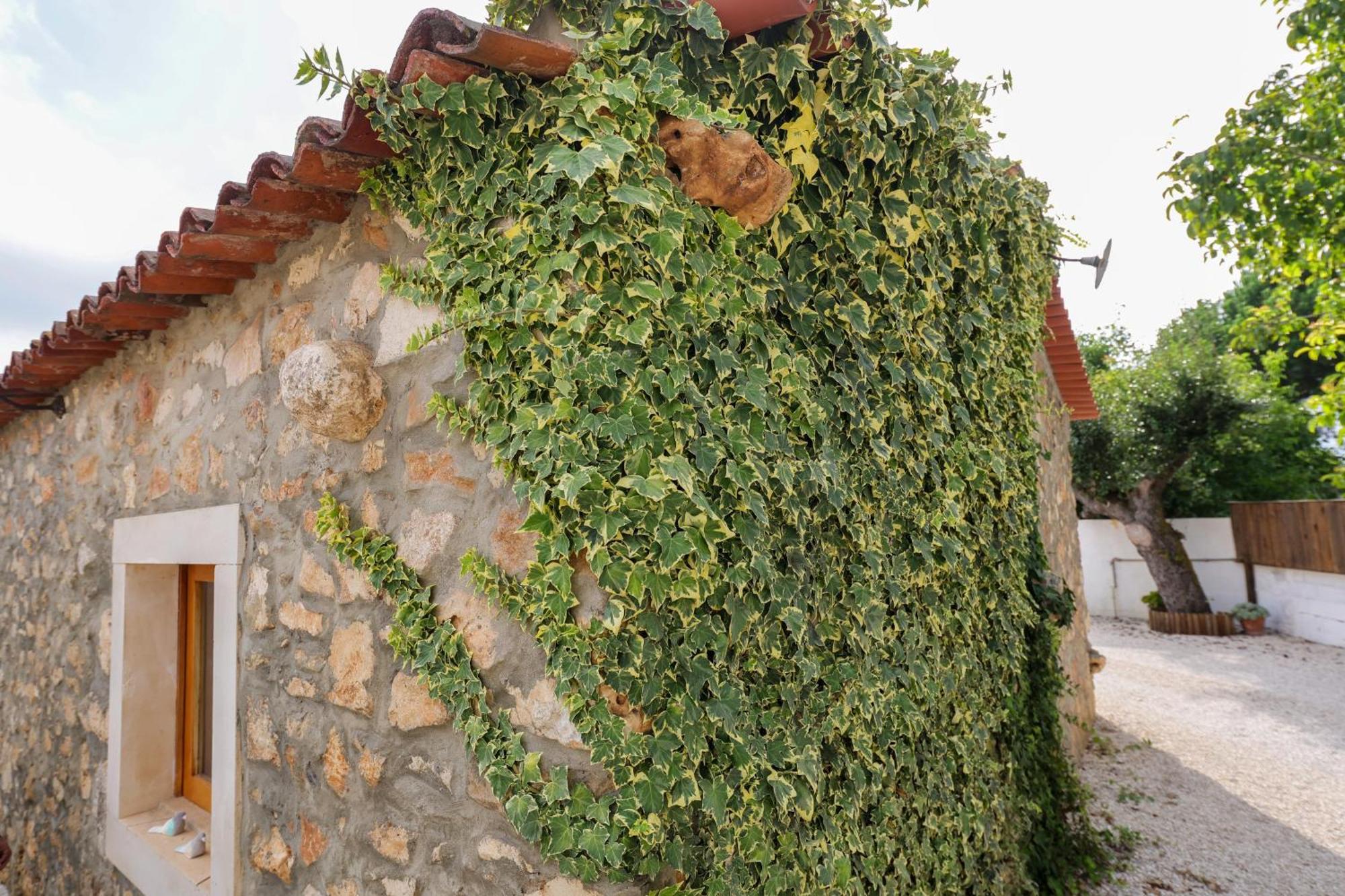Renovated Wine Press House - With Pool Villa Porto de Mós Dış mekan fotoğraf